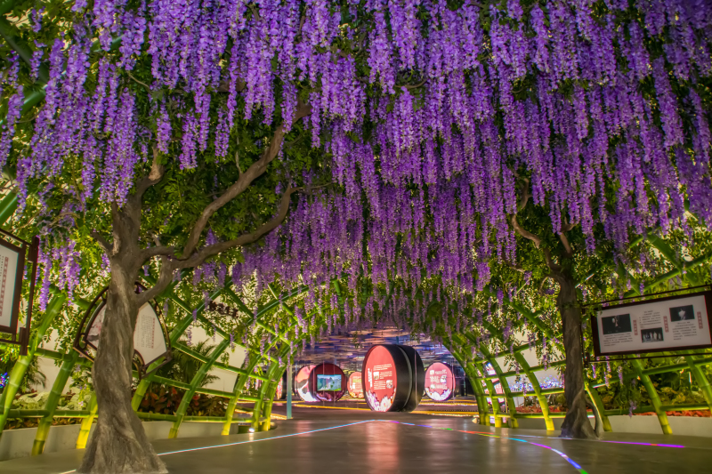 花栖云里 (7).jpg